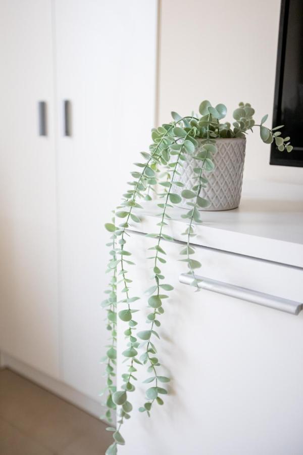 Apartmán Dona Concha Alameda Sevilla Exteriér fotografie